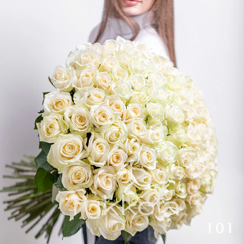 101 белая роза