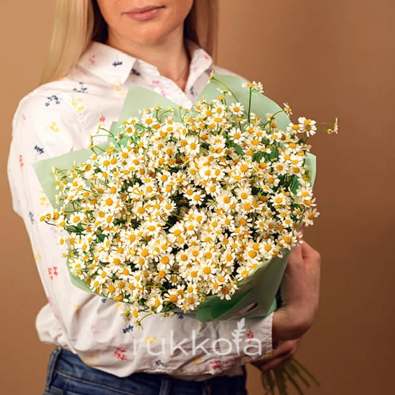 15 ромашек