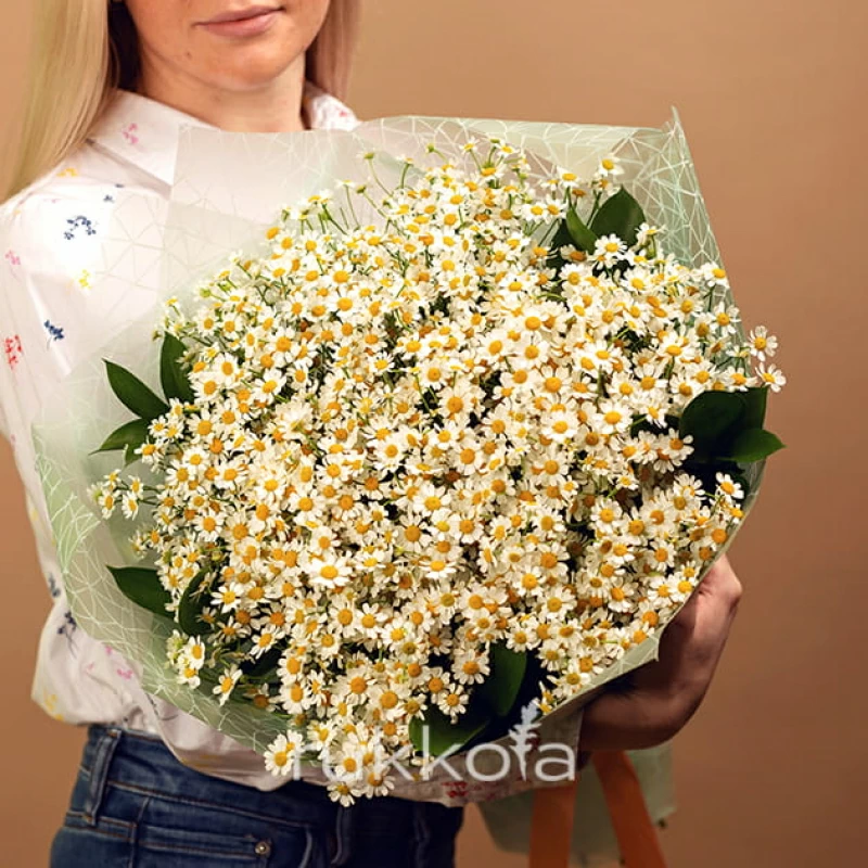 25 ромашек