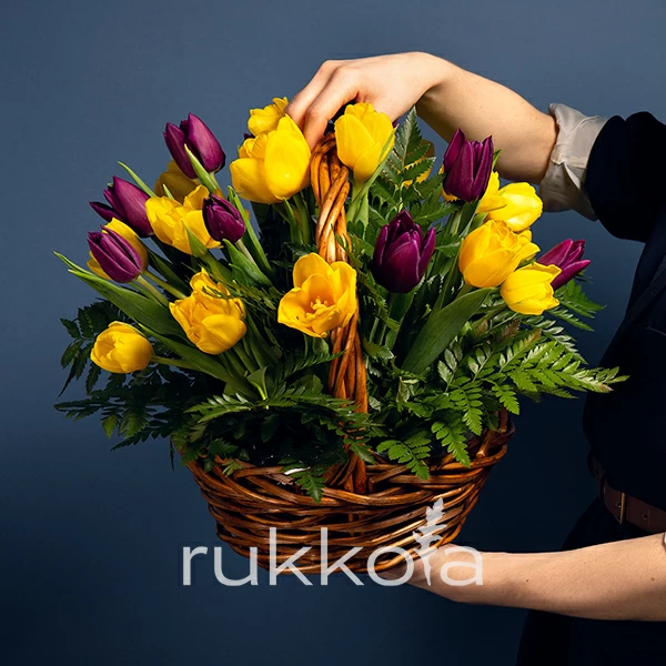 25 желтых и фиолетовых тюльпанов в корзинке
